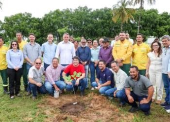 Governo inicia projeto que vai arborizar e melhorar qualidade ambiental em 12 cidades do interior | SECOM