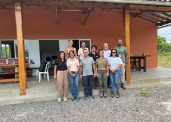 Bahia lança programa pioneiro para monitorar espécies ameaçadas de extinção na Mata Atlântica | SECOM