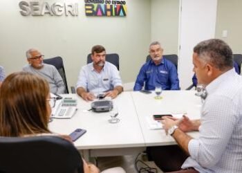 Projeto-piloto de controle populacional de cães da Seagri desperta interesse de outros consórcios baianos | SECOM