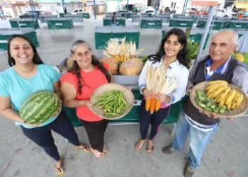 Bahia requalifica 88 mercados municipais e fortalece comércio da agricultura familiar | SECOM