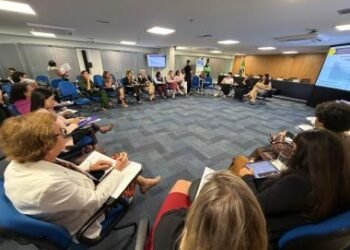 Em Brasília, SPM discute com o Governo Federal agenda comum para avanços nas políticas de gênero no país | SECOM