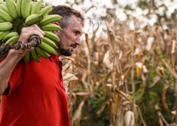 Câmara aprova uso de recursos do FGO em operações do Pronaf