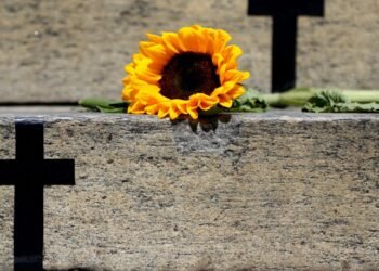 Caso de Itumbiara acende alerta para violência vicária; entenda