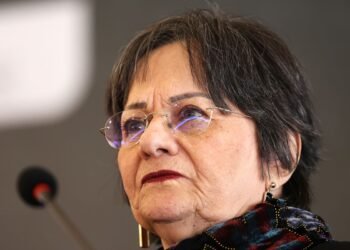 Maria da Penha pede rede direta de apoio para mulheres do interior