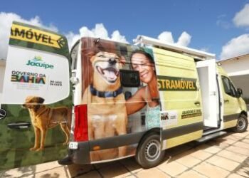 Governo da Bahia entrega unidade de Castramóvel para fortalecer controle populacional de cães no semiárido | SECOM