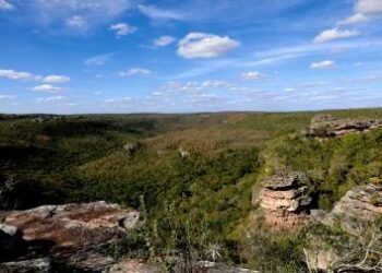 Saiba como o Inema integra a proteção ambiental e o patrimônio arqueológico na Bahia | SECOM