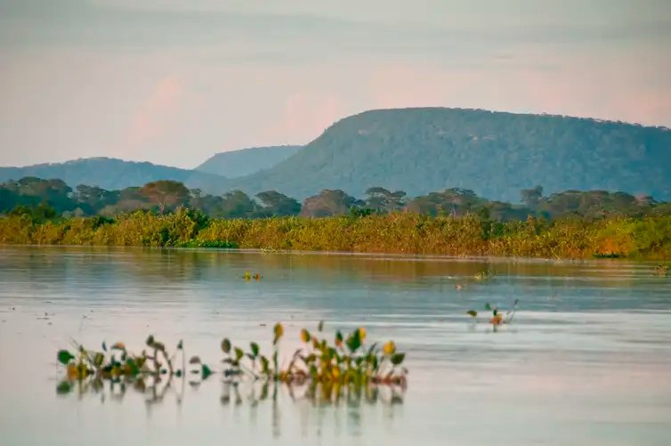 FOTO DE ARQUIVO - Novas áreas de proteção ambiental no Cerrado e no Pantanal. Parque Nacional do Pantanal. Foto: Palê Zuppani/ICMbio