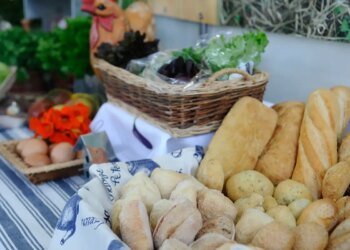 Indústria de alimentos e bebidas cresceu 8% em 2025, diz Abia