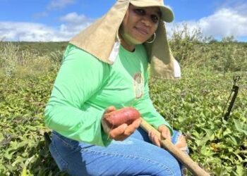 Produção coletiva fortalece mulheres de Fundo de Pasto no semiárido baiano | SECOM