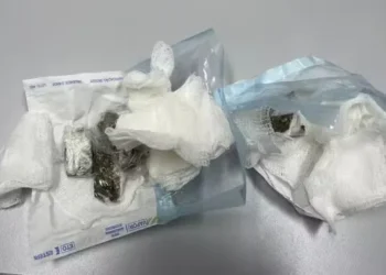 Dentista é presa por entregar droga escondida em gaze em presidio na Bahia