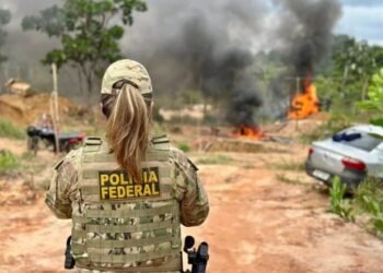 PF combate invasão de terras da União e tráfico em reserva indígena na Bahia