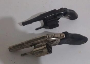 PM apreende armas, drogas e plantação de maconha na Bahia