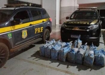 Polícia prende 3 suspeitos com 410 kg de cocaína no interior baiano