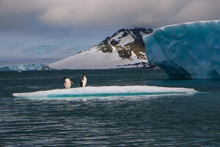 02/03/2026 - Derretimento das geleiras e calotas polares vai afetar sobretudo cidades costeiras, revela estudo. Foto: Aline Martinez/Divulgação