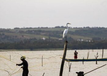 Sexto lote do seguro-defeso será disponibilizado na terça-feira