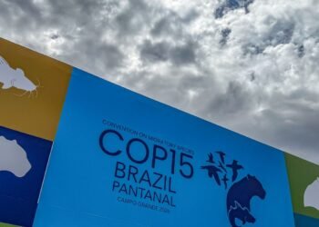 Cúpula de líderes orienta debates para COP15 em Campo Grande