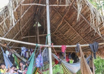 Povo Parakanã, do Pará, reocupa território após retirada de invasores 