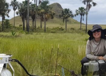 Estudo indica que Cerrado pode armazenar mais carbono que Amazônia