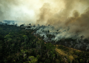 Mudanças Climáticas: dia de conscientização reforça importância da prevenção e adaptação | SECOM