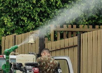 Mato Grosso do Sul vai receber vacina em projeto contra Chikungunya