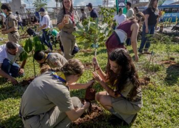 COP15 no Brasil promove conexão entre povos e territórios