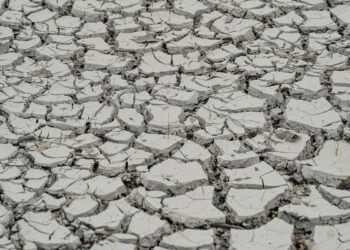 Estiagem: quinze cidades têm situação de emergência decretada