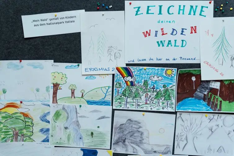 Parque Nacional da Floresta Negra da Alemanha/Divulgação FOTO DE ARQUIVO - Exposição do Pico da Neblina. Foto: Parque Nacional da Floresta Negra da Alemanha/Divulgação