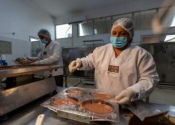 Bahia Cacau: pioneira no chocolate da agricultura familiar gera renda e transforma vidas no campo | SECOM