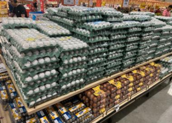 Produtos de Semana Santa em Salvador: histórico aponta o ovo de galinha como um dos vilões do período | SECOM