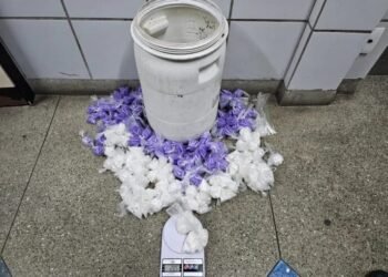 PM apreende grande quantidade de drogas em área de domínio do tráfico