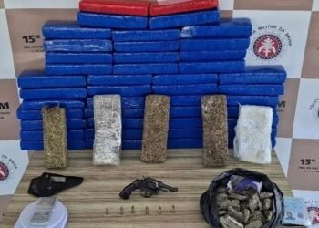 PM apreende mais de 50 kg de drogas, arma e munições no interior baiano