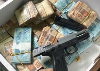 PM resgata animais e conduz envolvidos em rinha de galo; R$ 150 mil apreendidos