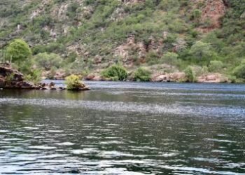 Rios da Bahia permanecem acima do nível de segurança e Inema mantêm alerta para risco de inundações | SECOM