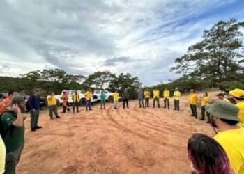 Sema participa de intercâmbio nacional sobre manejo integrado do fogo na Serra da Canastra | SECOM