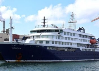 Saiba mais sobre o hantavírus, suspeito de causar surto em cruzeiro