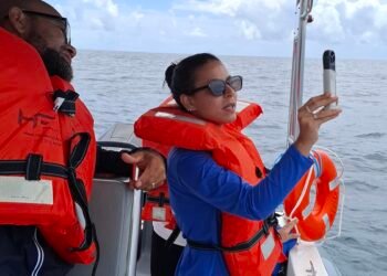 Projeto mapeia fauna marinha da Bahia por meio do DNA ambiental