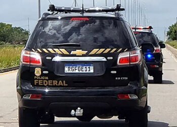 PF combate tráfico internacional de drogas em 10 cidades catarinenses