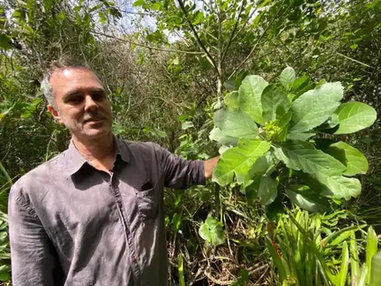 Brasília (DF), 04/05/2026 - O programa da  TV Brasil, Caminhos da Reportagem, apresenta o episódio Joias da Restinga. O bontânico MAssino Bovini com a planta que recebeu o nome em homenagem a Goethe. Foto: Aline Beckstein/Arquivo Pessoal