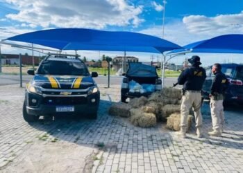 PRF apreende 85 kg de drogas escondidos sob carga no interior baiano