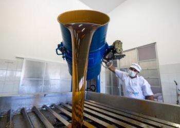 Qualificação técnica fortalece agroindústrias familiares na Bahia | SECOM