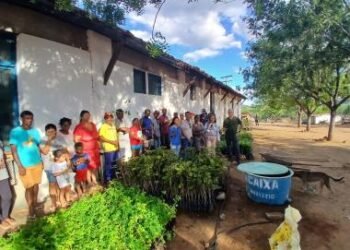 Estado realiza ação piloto de gestão de assentamentos e entrega 5.000 mudas frutíferas no Filhos da Terra, em Itaberaba | SECOM