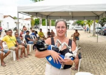 Seagri avança em convênio para controle populacional de cães no semiárido baiano | SECOM